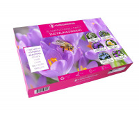 Sperli Young Generation Paket Nützlingsweide