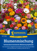 Kiepenkerl Blumenmischung Schneckenresistente Blütensymphonie