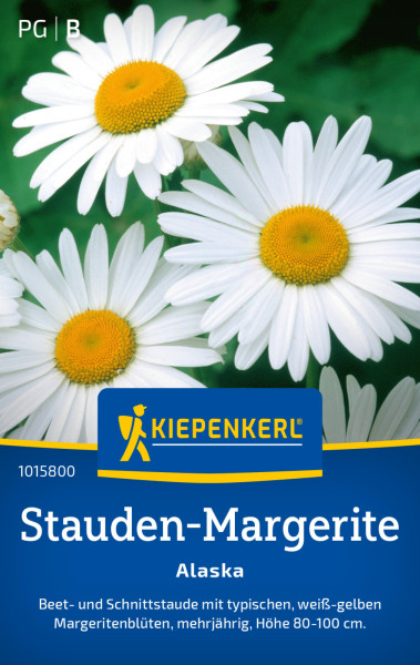 Kiepenkerl Stauden-Margerite Alaska