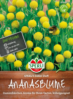 Sperli Ananasblume SPERLI's Süßer Duft