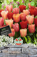 Sperli Maxi Triumph-Tulpen Jimmy Mix