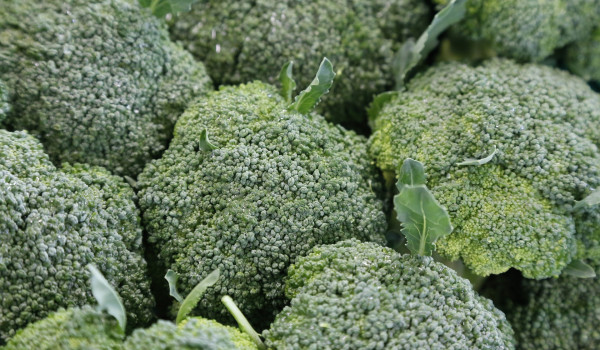 broccoli-1076652_1920