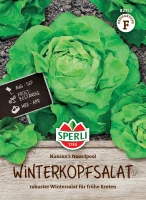 Sperli Winterkopfsalat Nansen's Noordpool