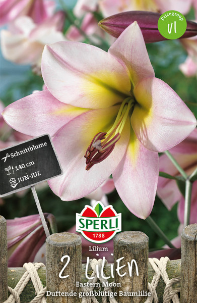 Produktbild von Sperli Lilie Eastern Moon mit zwei rosa-gelben Blütenblättern und Informationen zum Wuchs und Blütezeit auf einem Preisschild.