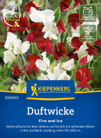 Kiepenkerl Duftwicke Fire and Ice