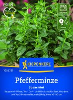 Kiepenkerl Pfefferminze Spearmint