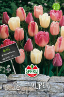 Sperli Maxi Tulpen Cottage Apple Blossom Mischung