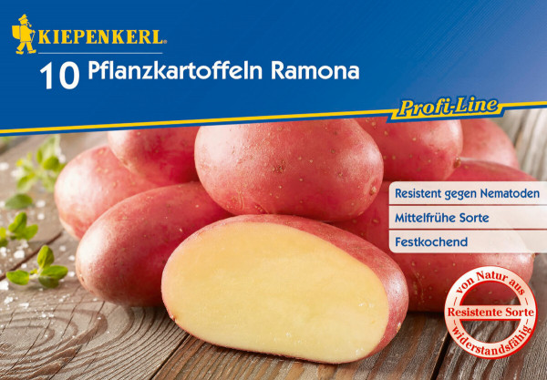 Produktbild von Kiepenkerl Pflanzkartoffel Ramona 10St mit mehreren roten Kartoffeln und einer angeschnittenen Kartoffel daneben sowie Produktmerkmalen wie resistente Sorte und festkochend.