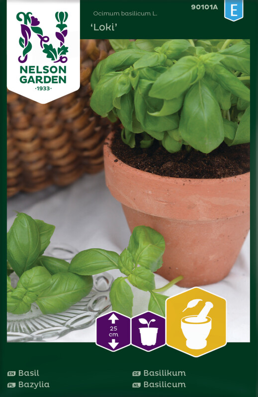 Winterharter Thymian Mehrjährig | Aromatischer Bodendecker | Rot Blühend Für Garten & Balkon