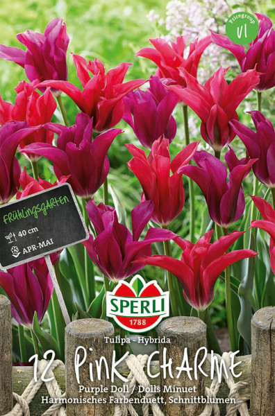 Produktbild von Sperli Frühlingsgarten Pink Charme zeigt pinkfarbene Tulpen mit Produktlogo und Informationen zu Pflanzzeit und Wuchshöhe.
