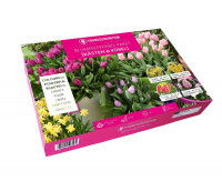 Sperli Young Generation Paket Kästen & Kübel