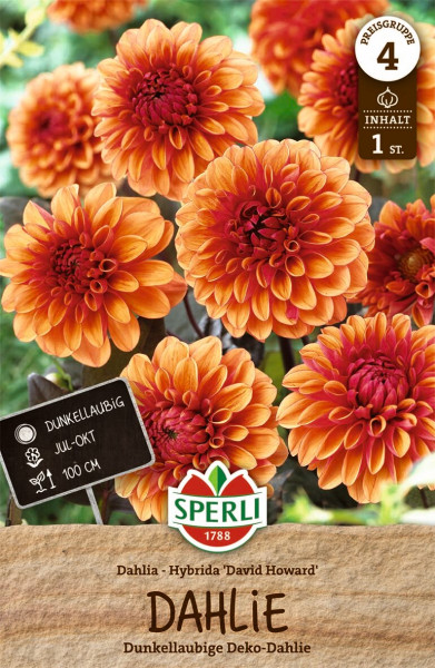 Produktbild von Sperli Dahlie David Howard mit mehreren orangefarbenen Blumen und Informationen zu Hersteller Preisgruppe Blütezeit und Wuchshöhe in deutscher Sprache.