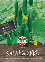 Sperli Salatgurke Lothar, F1