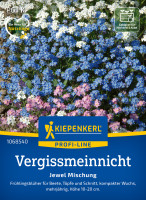 Kiepenkerl Vergissmeinnicht Jewel Mischung