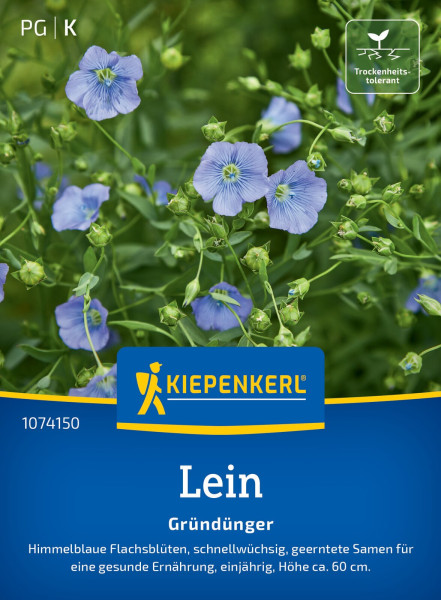 Kiepenkerl Lein Blauer Flachs