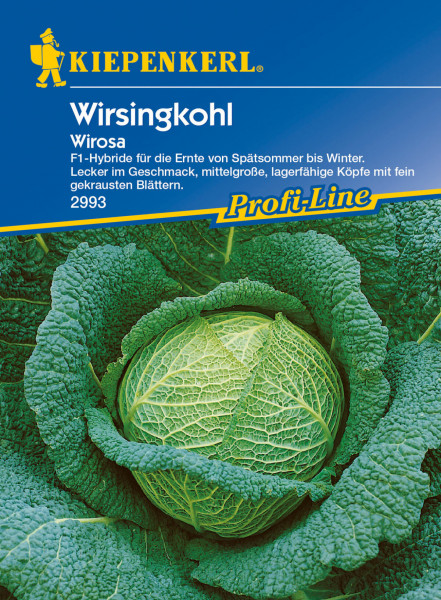 Produktbild von Kiepenkerl Wirsing Wirosa F1 mit Darstellung eines Wirsingkopfes umgeben von gekrausten Blättern und Produktinformationen zur Erntezeit sowie Geschmacksbeschreibung.