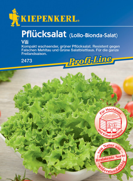 Produktbild von Kiepenkerl Pflücksalat Vili Verpackung mit Abbildung des grünen Salats und Informationen zu Wachstum und Resistenz gegen Schädlinge in deutscher Sprache.