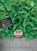 Sperli Liebstock Maggikraut