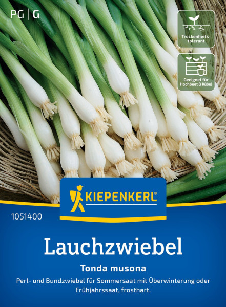 Kiepenkerl Lauchzwiebel Tonda Musona