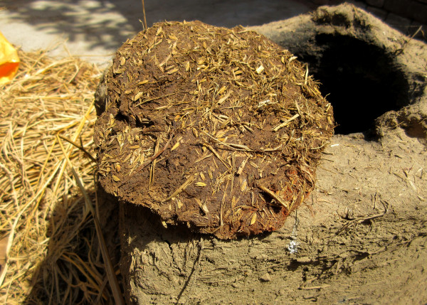 2400-closeup-of-cow-dung-cakes-made-by-hands-with-hey-and-cow-dung-to-work-as-fuel