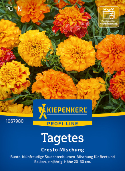 Kiepenkerl Tagetes Cresto Mischung