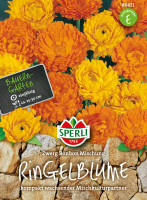 Sperli Ringelblume Zwerg Bonbon Mischung