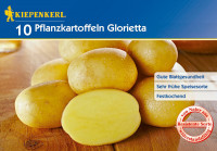 Kiepenkerl Pflanzkartoffel Glorietta10ST