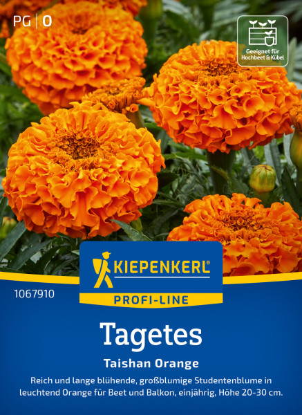 Kiepenkerl Tagetes Taishan Orange F1