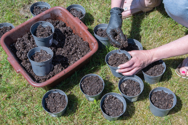 2400-preparing-pots-for-seedlings-filling-with-nutritious-soil-seasonal-work-in-the-spring-in-the-garden-female-hands