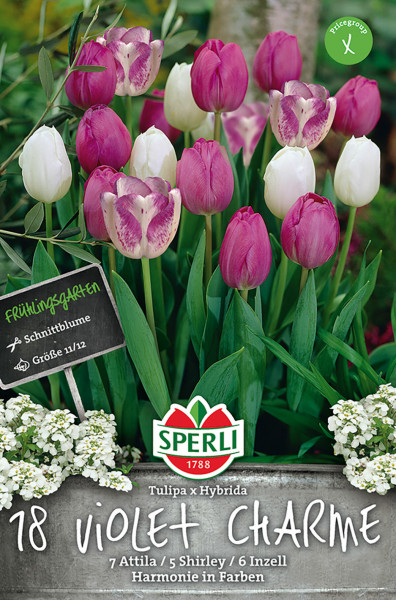 Produktbild von Sperli Frühlingsgarten Violet Charme mit einer Darstellung verschiedener Tulpen in pinken und weißen Farbnuancen sowie Produkt- und Markeninformationen.