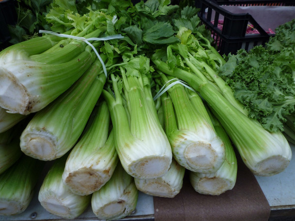 celery-stalk-248156_1280