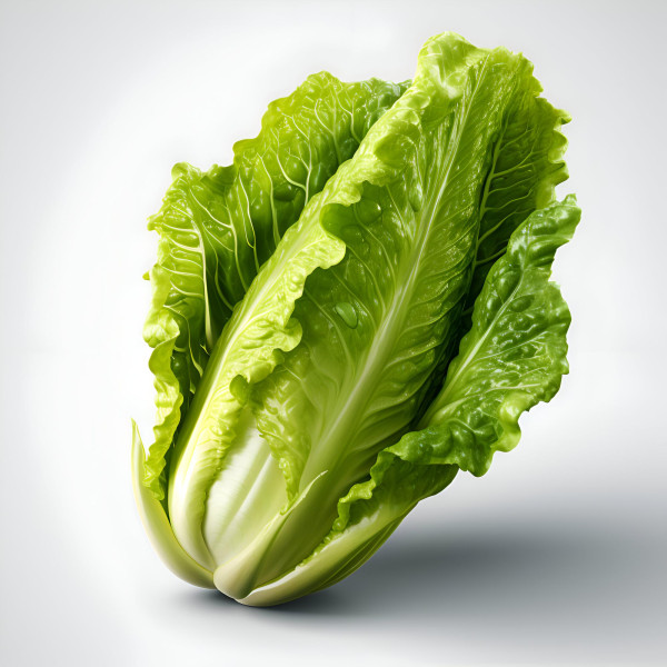 45521
