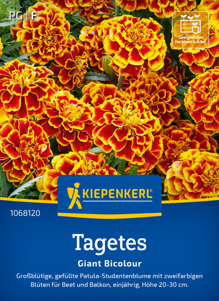 Kiepenkerl Tagetes Giant Bicolour