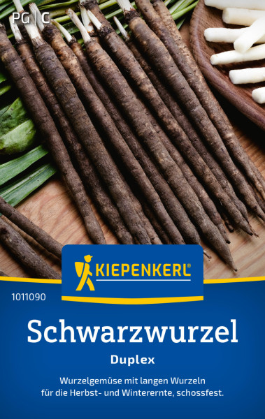 Kiepenkerl Schwarzwurzel Duplex