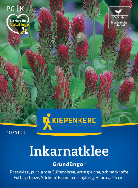 Kiepenkerl Inkarnatklee Rosenklee