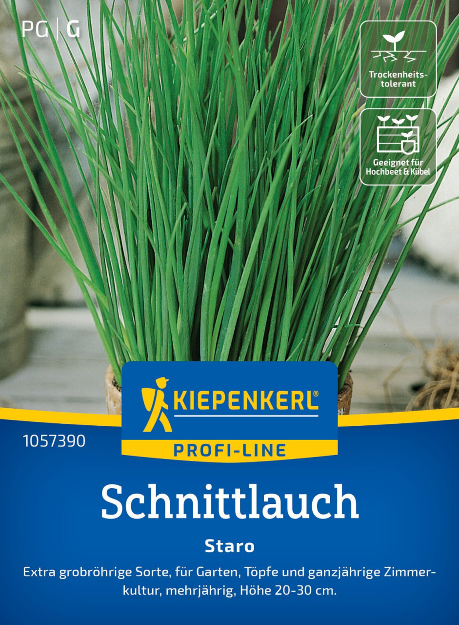 Kiepenkerl Schnittlauch Staro