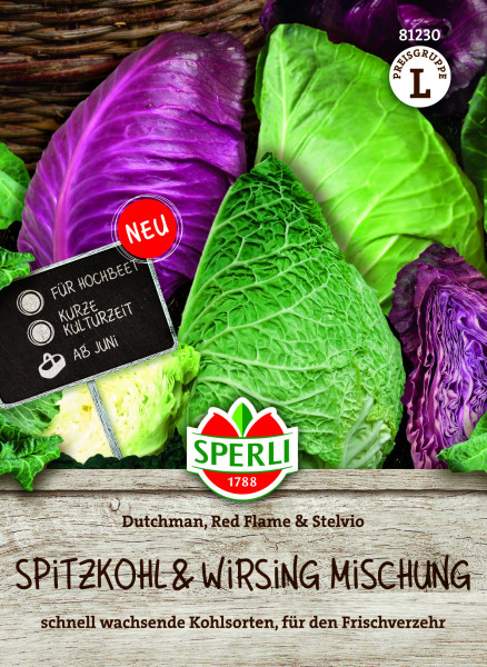 SPERLI Spitzkohl Dutchman, F1 / Red Flame / und Wirsing Stelvio