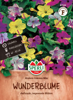 Sperli Wunderblume Broken Colours Mix
