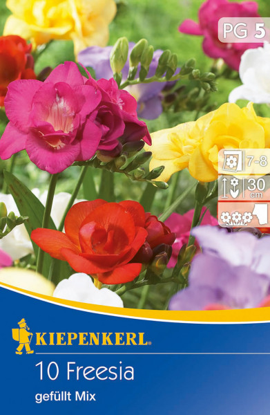 Produktbild von Kiepenkerl Freilandfreesie gefüllt blühende Mischung mit bunten Freesien und Packungsdetails wie Pflanzanleitung und Blütezeit.