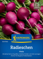 Kiepenkerl Radieschen Viola Kiepenkerl Radieschen Viola