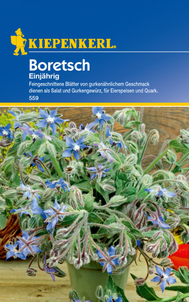 Produktbild von Kiepenkerl Boretsch einjährig mit Beschreibung der Verwendung der Pflanze als Gewürz für Salat, Eierspeisen und Quark und Darstellung der blühenden Pflanze in einem Topf.