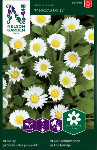 Produktbild von Nelson Garden Gänseblümchen Meadow Daisy Samen mit Bildern der weißen Blumen auf der Verpackung und mehrsprachigen Bezeichnungen