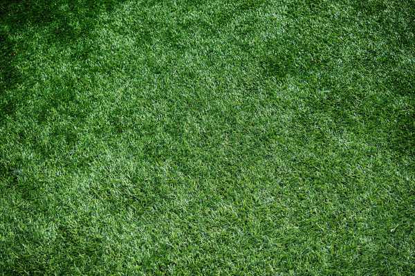 artificial-turf-1711556_1920