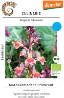 Culinaris BIO Marokkanisches Leinkraut