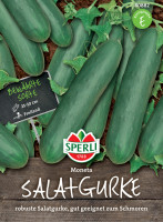 Sperli Salatgurke Moneta