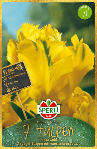 Sperli Premium Papagei-Tulpe Texas Gold