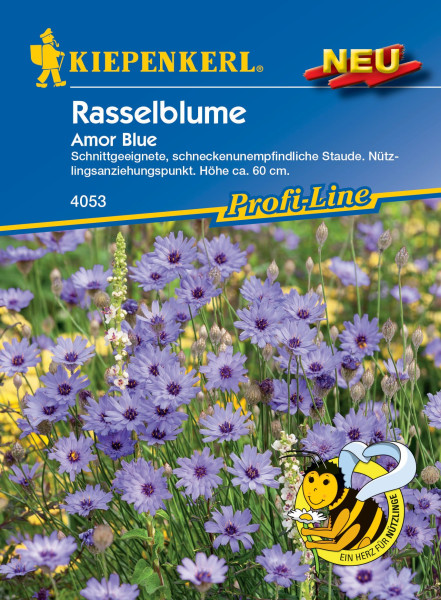 Produktbild von Kiepenkerl Rasselblume Amor Blue mit blühenden blauen Blumen darauf Informationen zur Pflanze wie Höhe und Eigenschaften sowie das ProfiLine Logo.