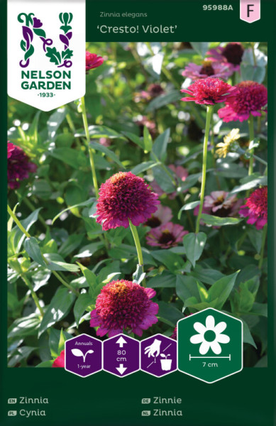 Produktbild Nelson Garden Zinnie Cresto Violet mit Darstellung der violett-roten Zinnienblüten sowie Informationen zu Wuchshöhe, Blütengröße und Pflanzanleitung auf der Verpackung.