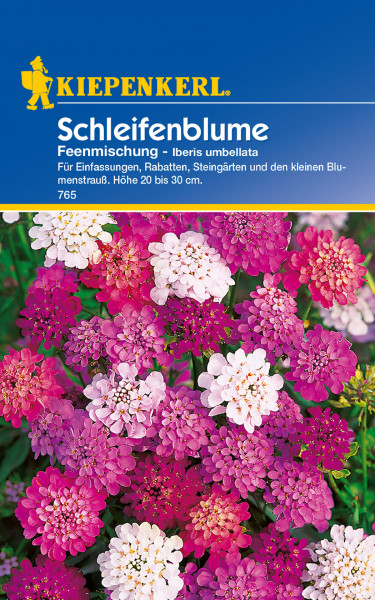 Produktbild von Kiepenkerl Schleifenblume Feenmischung mit blühenden Pflanzen in verschiedenen Rosatönen und Produktinformationen auf blauem Hintergrund.