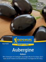 Kiepenkerl Aubergine Kaberi F1